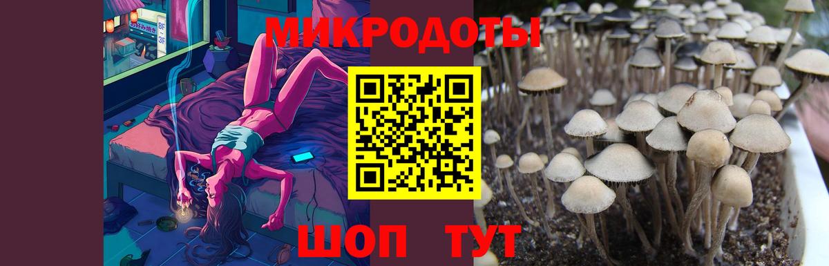 Нижнеудинск  как найти закладки  Вход с VPN  Псилоцибиновые грибы Psilocybe 