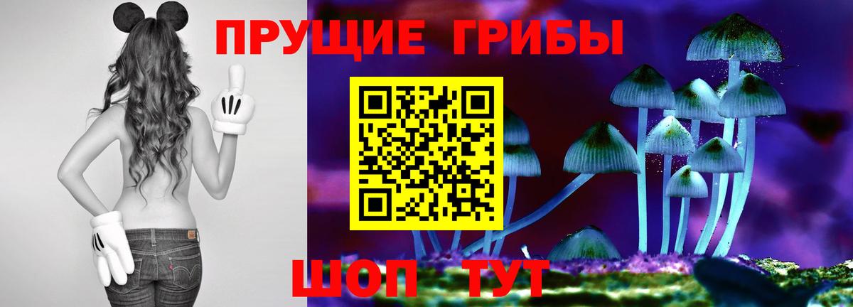 Галлюциногенные грибы Cubensis Нижнеудинск